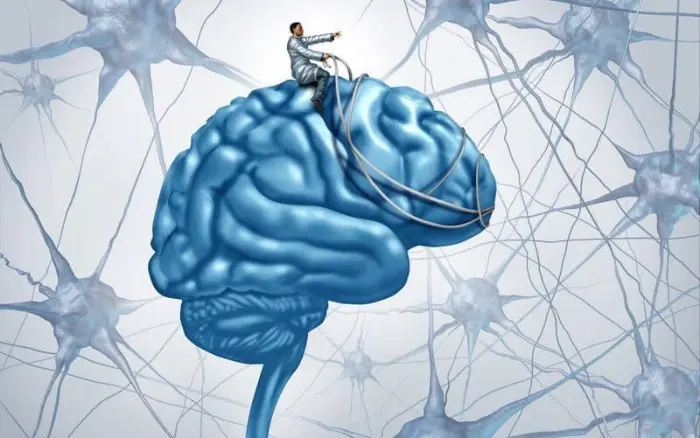 Neuroplasticidade e Produtividade - Shantihi