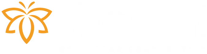 Logo shandihi