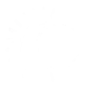 Transmutação